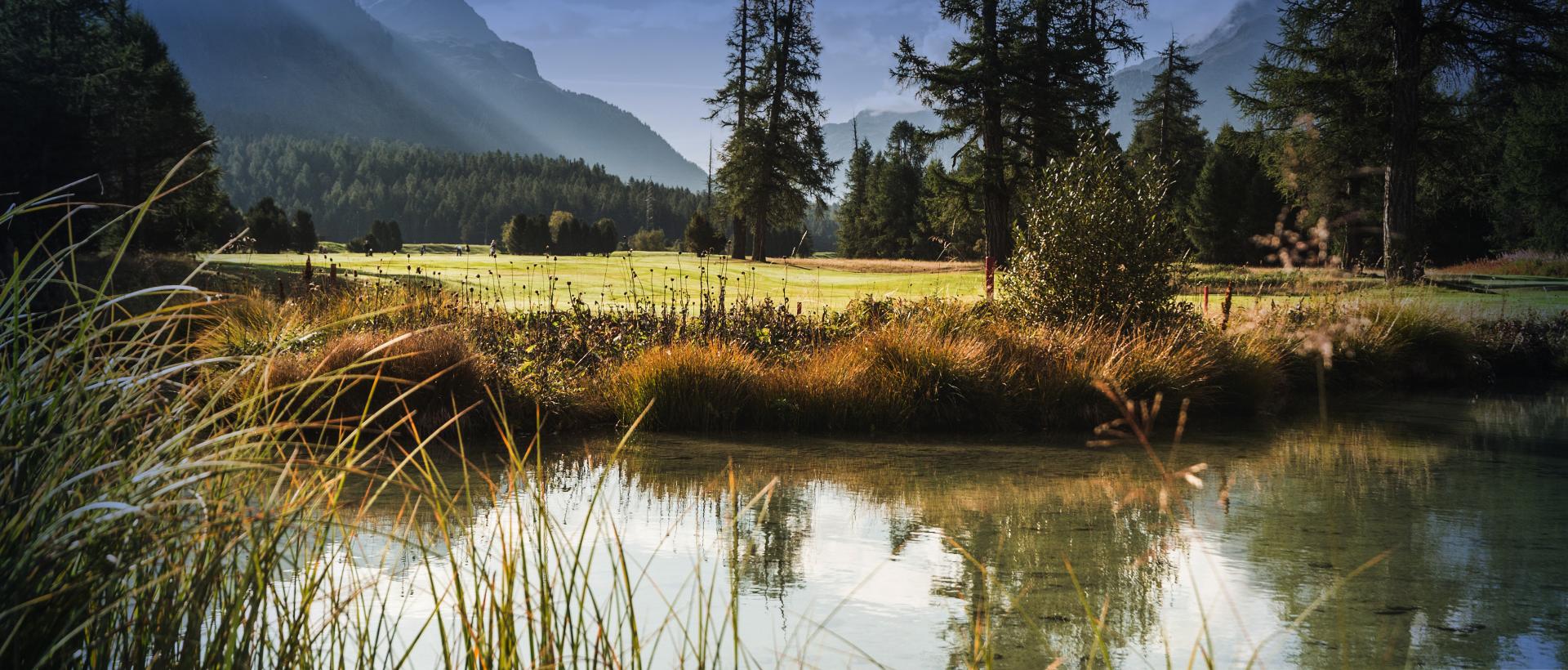 Header Bild Greencorner